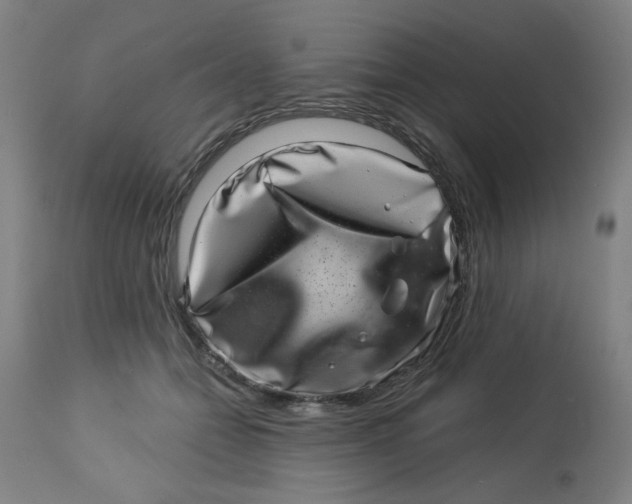 X0000113000558200909171409