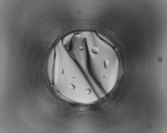 X0000113000560200909171409