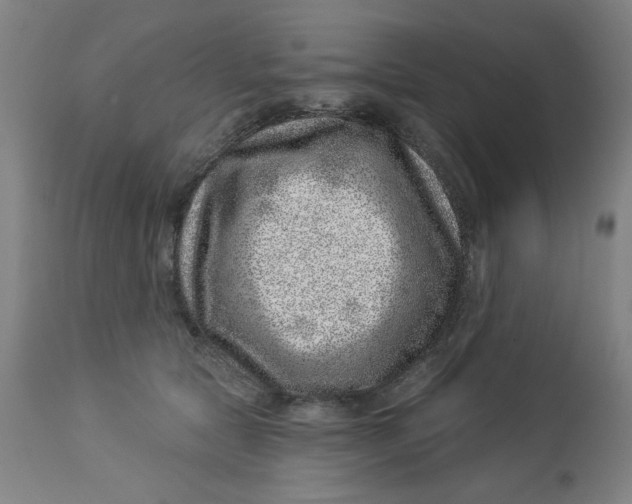 X0000113000561200909171409