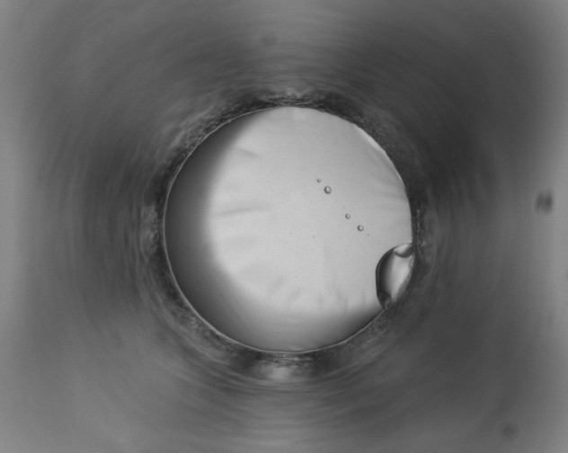 X0000113000563200909171409