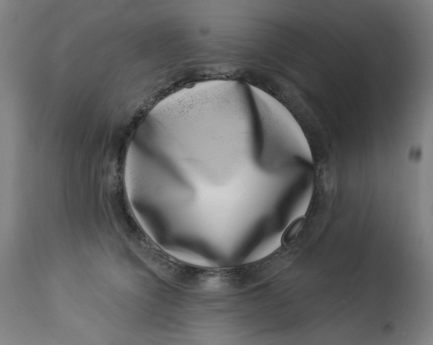 X0000113000564200909171409