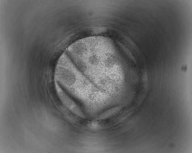 X0000113000565200909171409