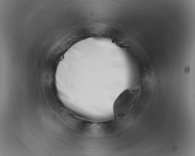 X0000113000566200909171409