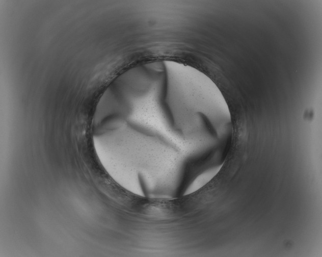 X0000113000567200909171409