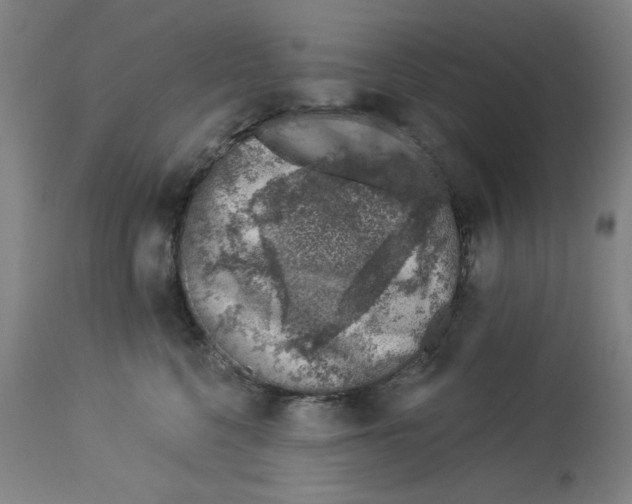 X0000113000568200909171409