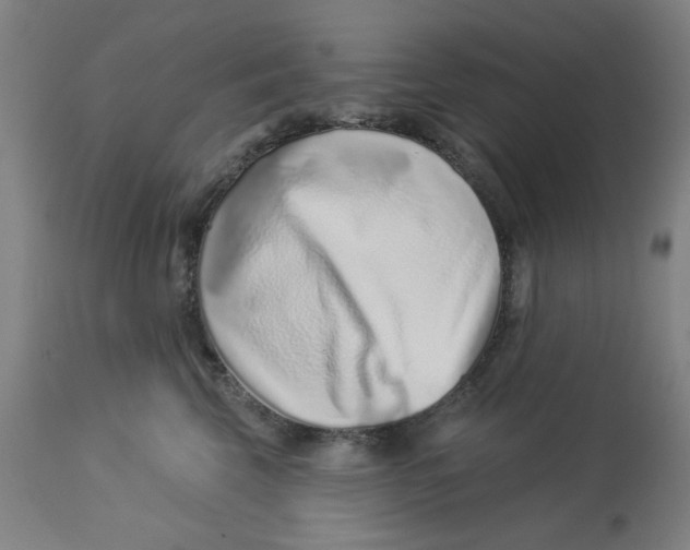 X0000113000569200909171409