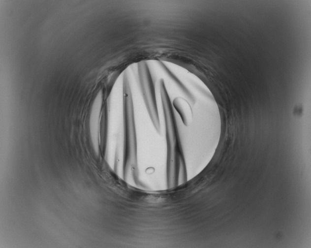 X0000113000570200909171409