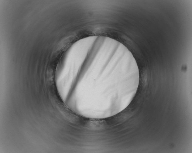 X0000113000571200909171409