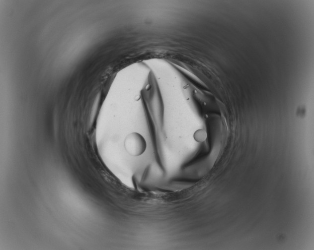 X0000113000572200909171409