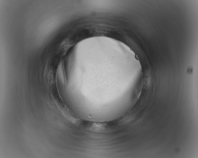 X0000113000573200909171409