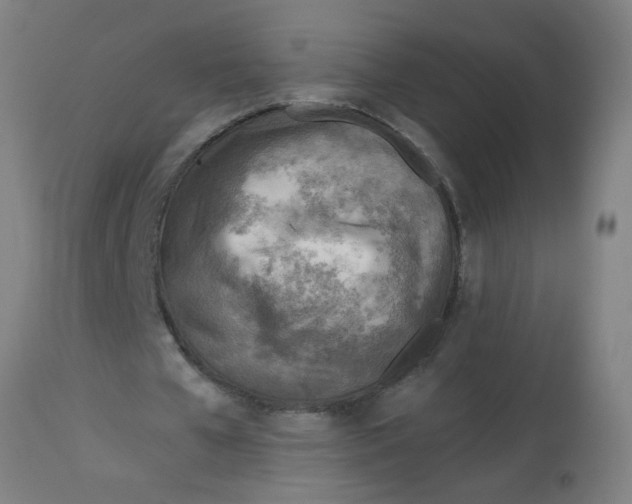 X0000113000577200909171408