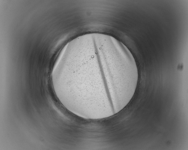 X0000113000578200909171408