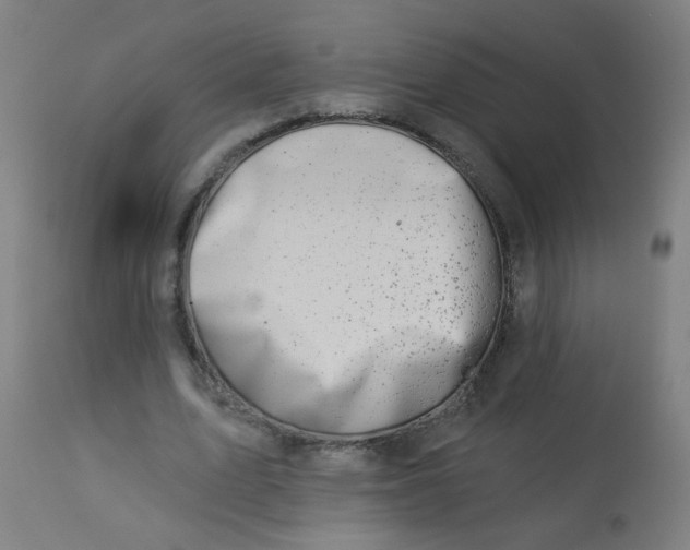 X0000113000583200909171408