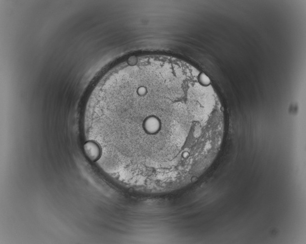 X0000113000584200909171408