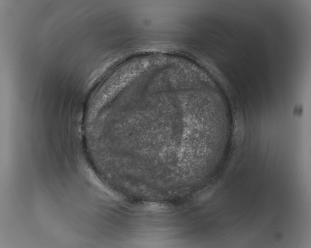 X0000113000585200909171408