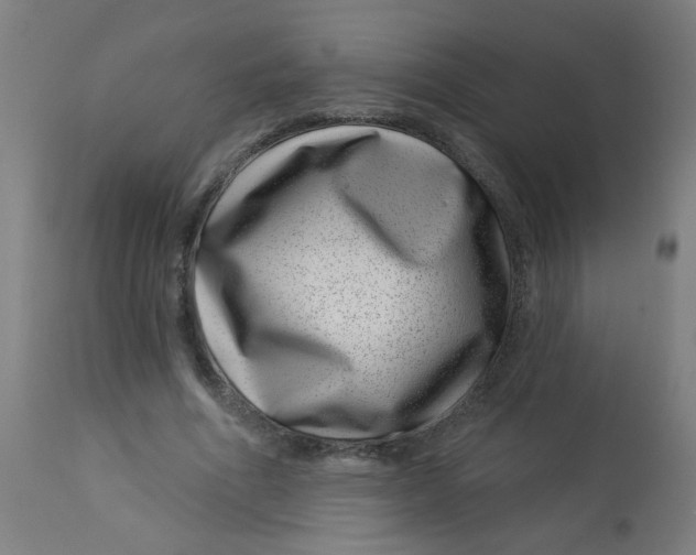 X0000113000586200909171408