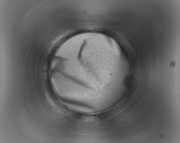 X0000113000587200909171408