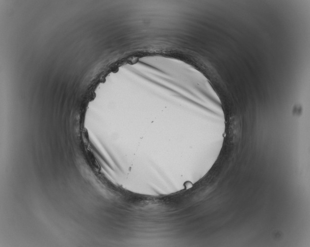 X0000113000589200909171408