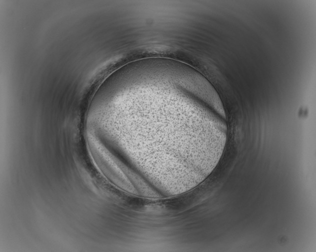 X0000113000591200909171408