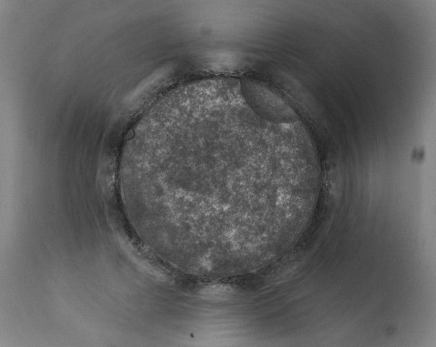 X0000113000593200909171408