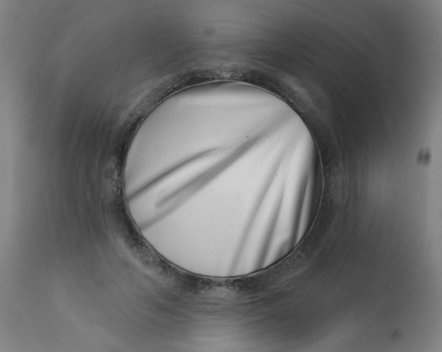 X0000113000594200909171408