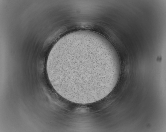 X0000113000595200909171408