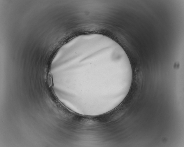 X0000113000597200909171408