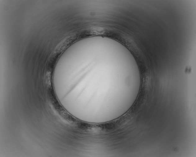 X0000113000598200909171408