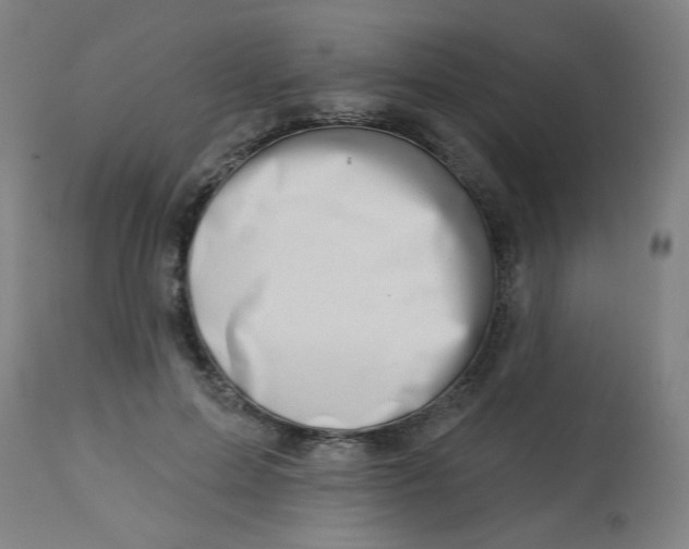 X0000113000599200909171408