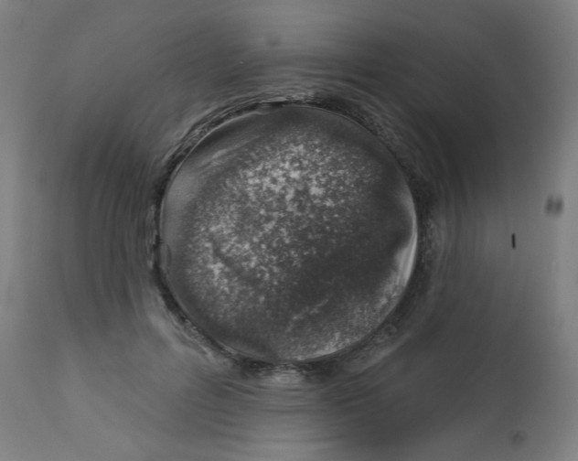 X0000113000600200909171408