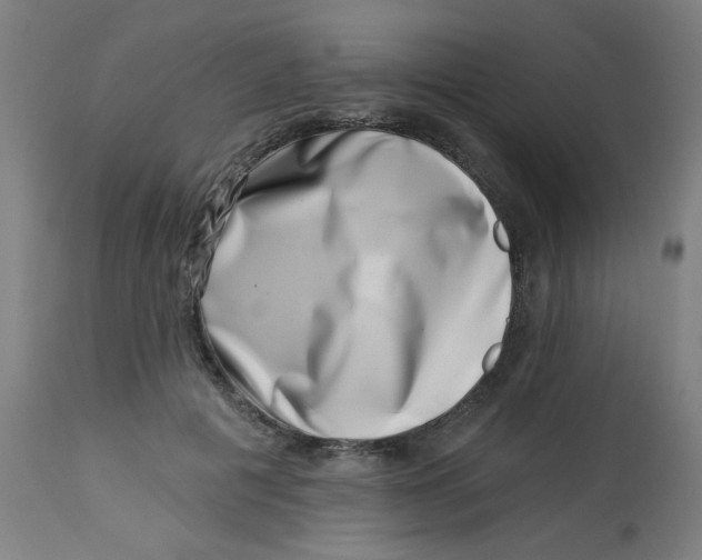 X0000113000601200909171408