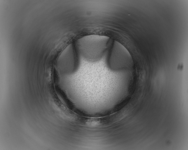 X0000113000602200909171408