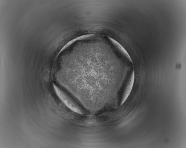 X0000113000604200909171408