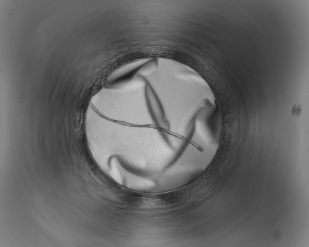 X0000113000605200909171408