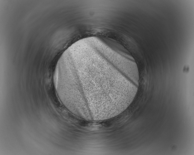 X0000113000607200909171408