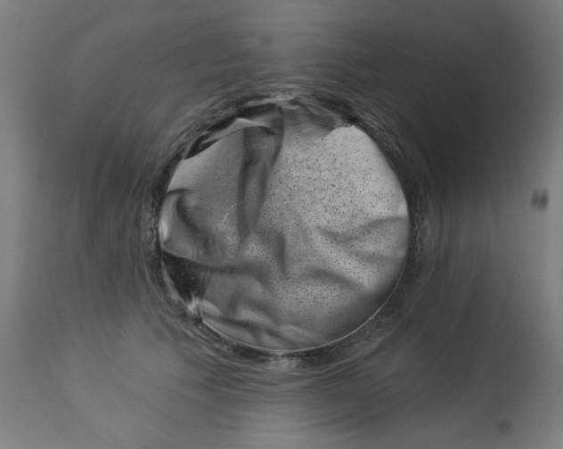 X0000113000609200909171408