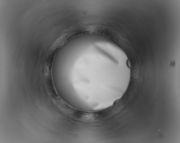 X0000113000611200909171408