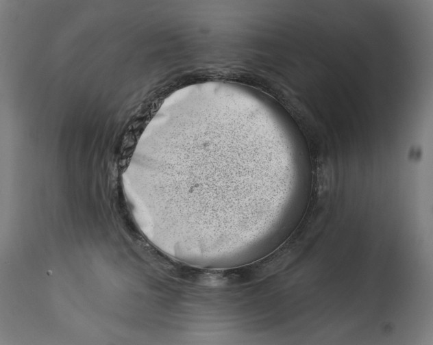 X0000113000613200909171408