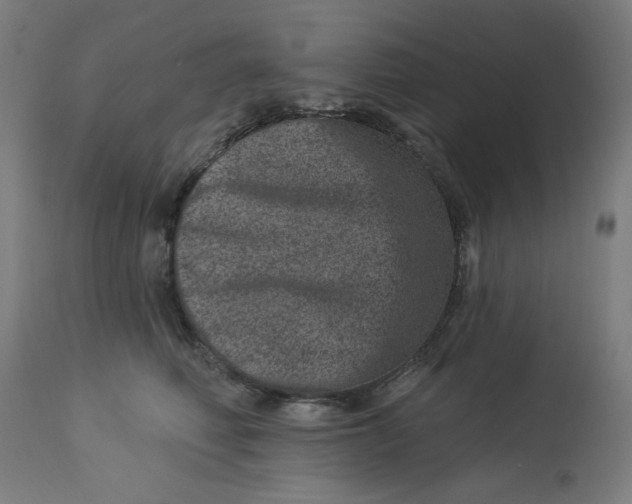 X0000113000614200909171408