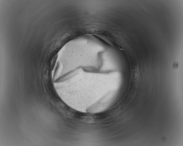 X0000113000615200909171408