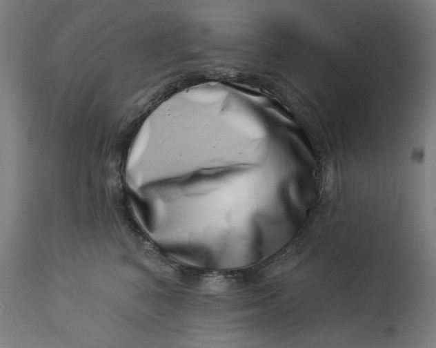 X0000113000616200909171408