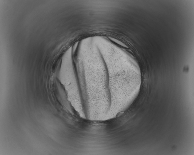 X0000113000617200909171408