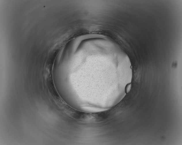 X0000113000618200909171408