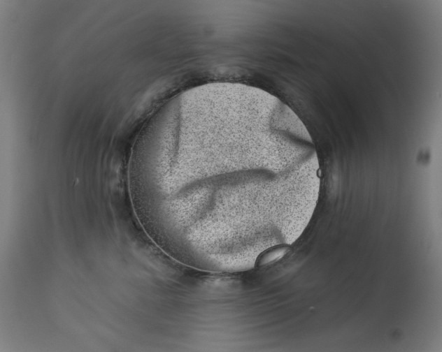 X0000113000619200909171408