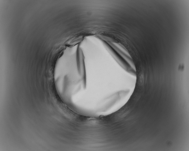 X0000113000620200909171408