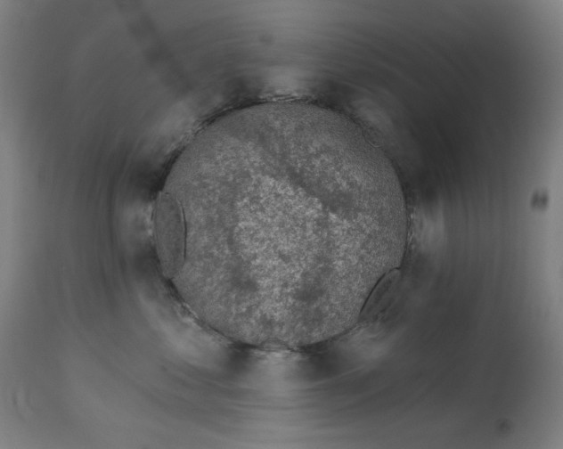 X0000113000621200909171408