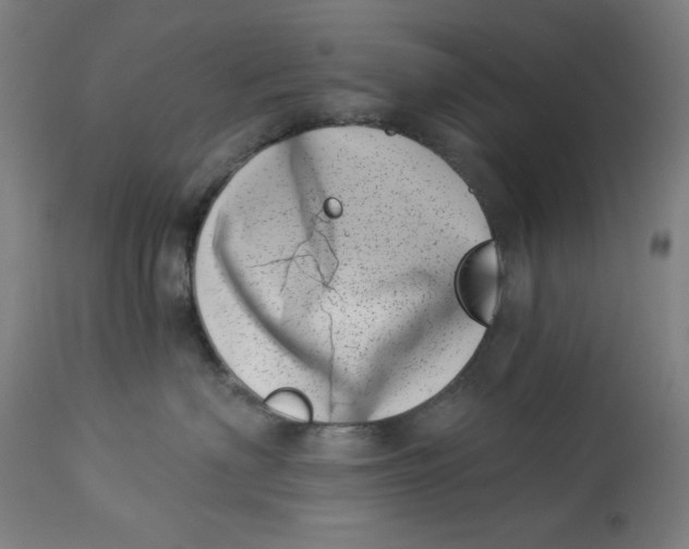 X0000113000622200909171408