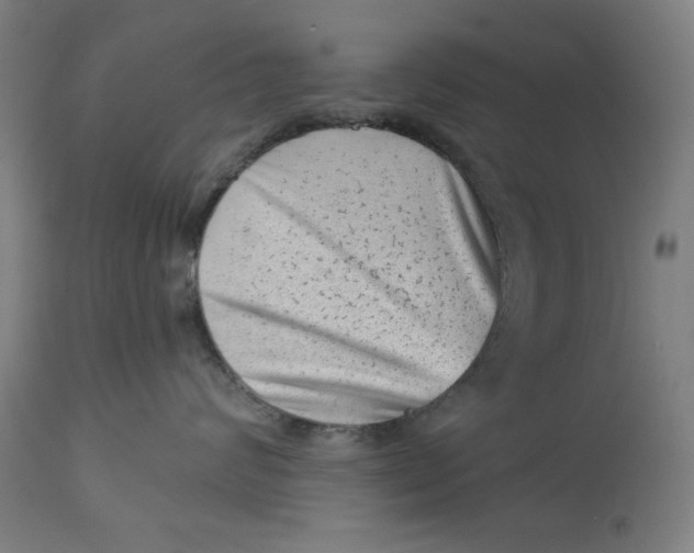 X0000113000624200909171408