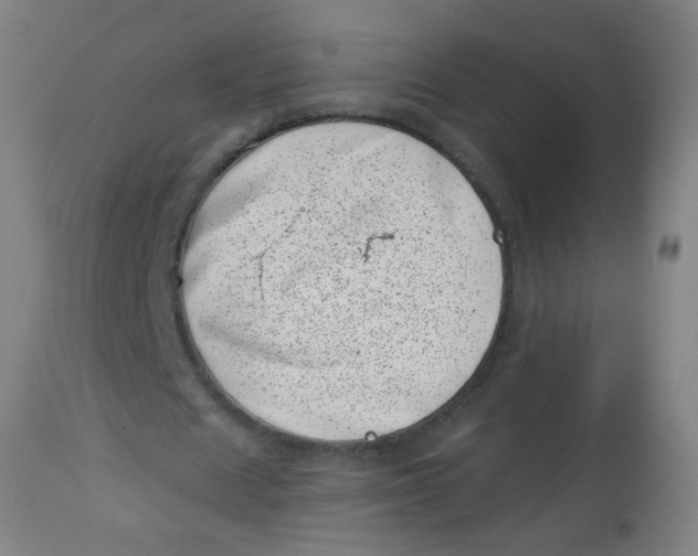 X0000113000625200909171407