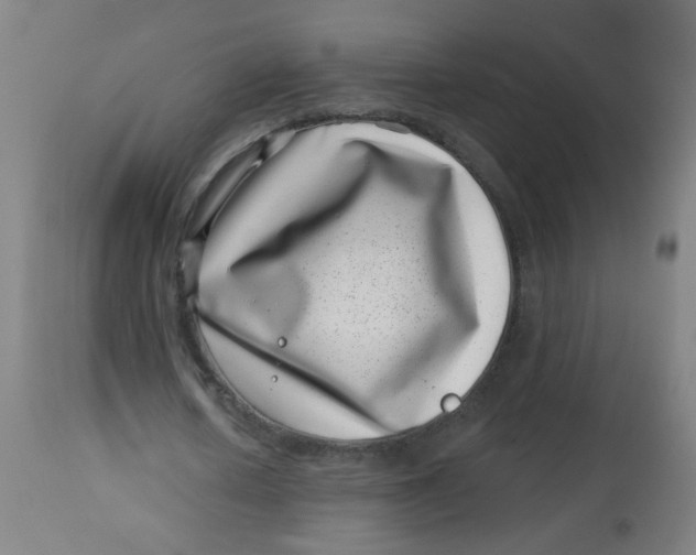 X0000113000626200909171407